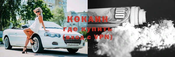 спайс Богданович