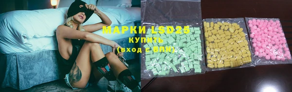 спайс Богданович