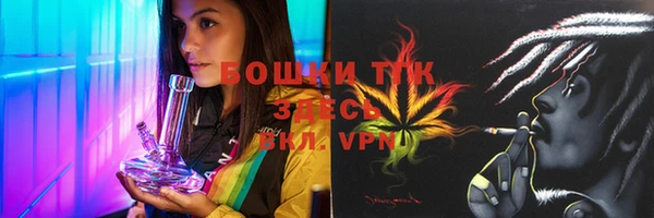 PSILOCYBIN Балахна