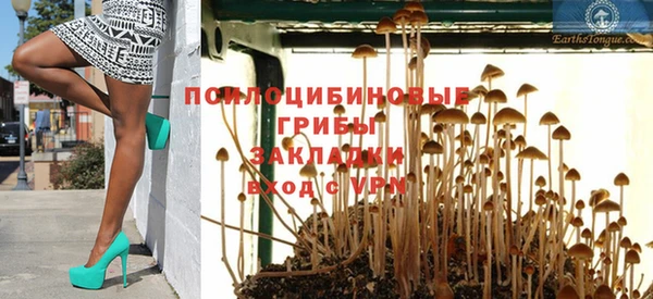 стафф Беломорск