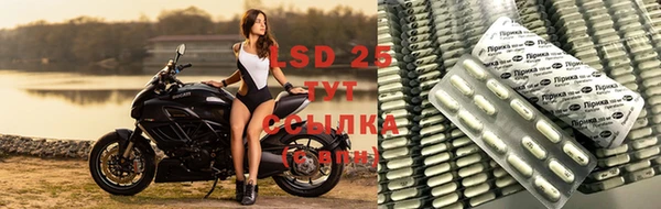 спайс Баксан