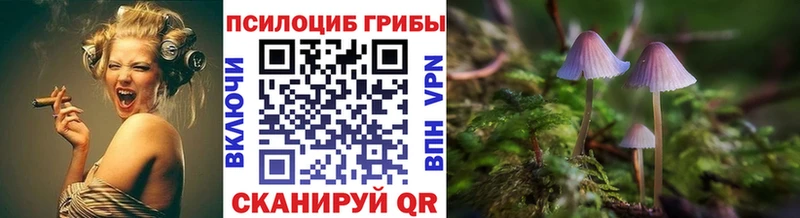 Псилоцибиновые грибы прущие грибы Великие Луки